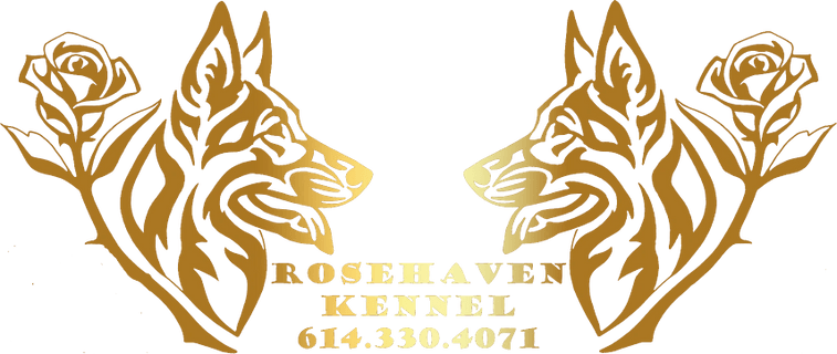 RoseHaven Kennel
