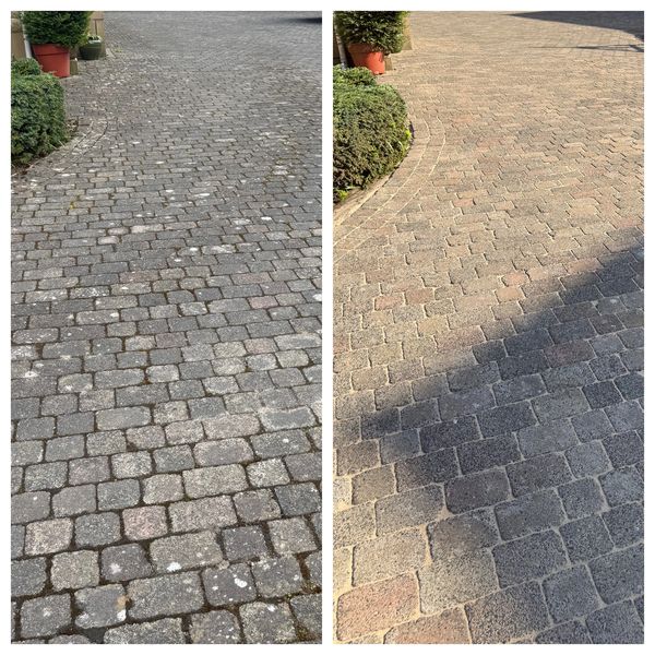 Before and after cleaning of a paved walkway with plants on the side.