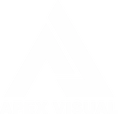 APEX VISUAL