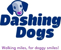 www.dashingdogs.pet