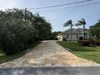 A paved driveway leading to a house with palm trees swaying in the breeze.