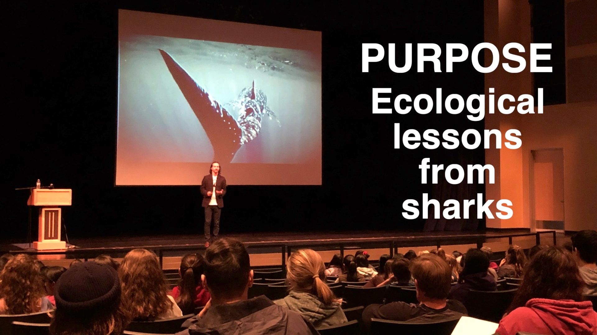 Speaker giving a lecture on ecological lessons from sharks to an audience in a theater.