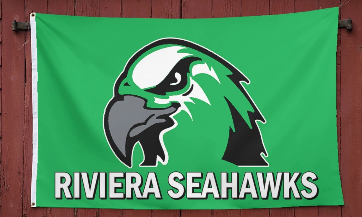 NFL Team Polyester Fan Flag Wave It Or Wear It (31.5"x47")  Seahawks