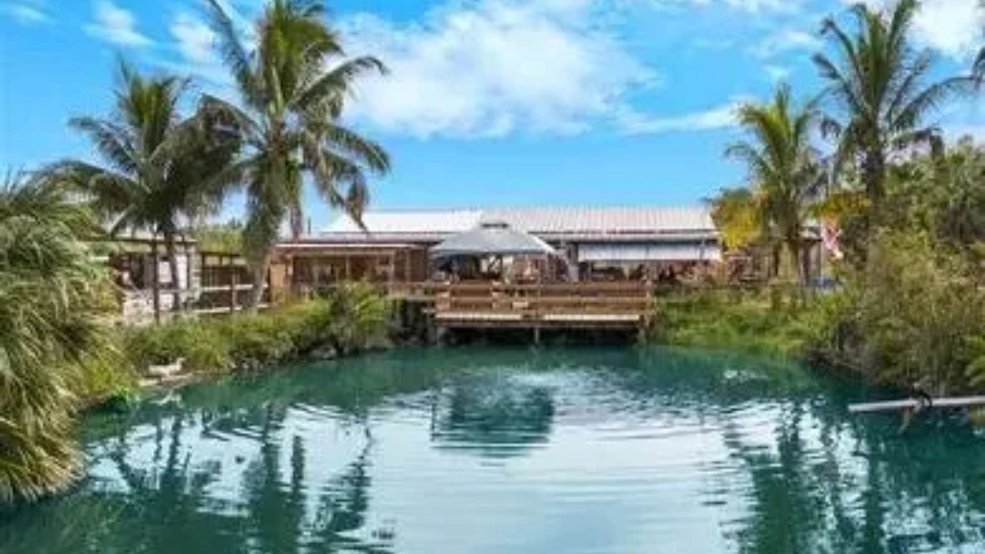 Southern Fresh Farms