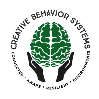 Creative Behavior Systems