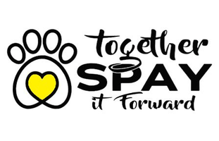 Together Spay It Forward