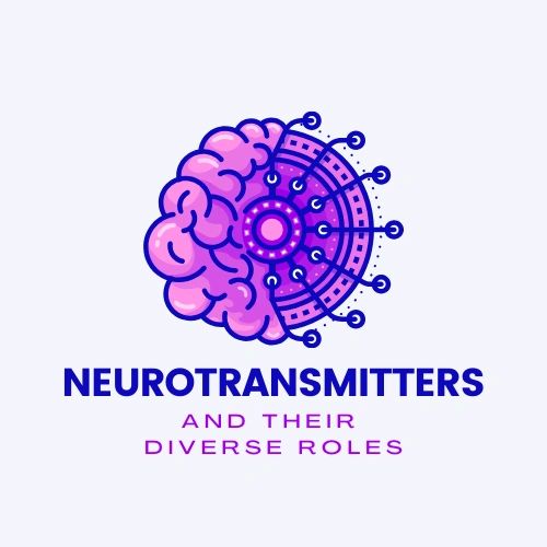 Neurotransmitters and their Diverse Roles Biology Diagrams