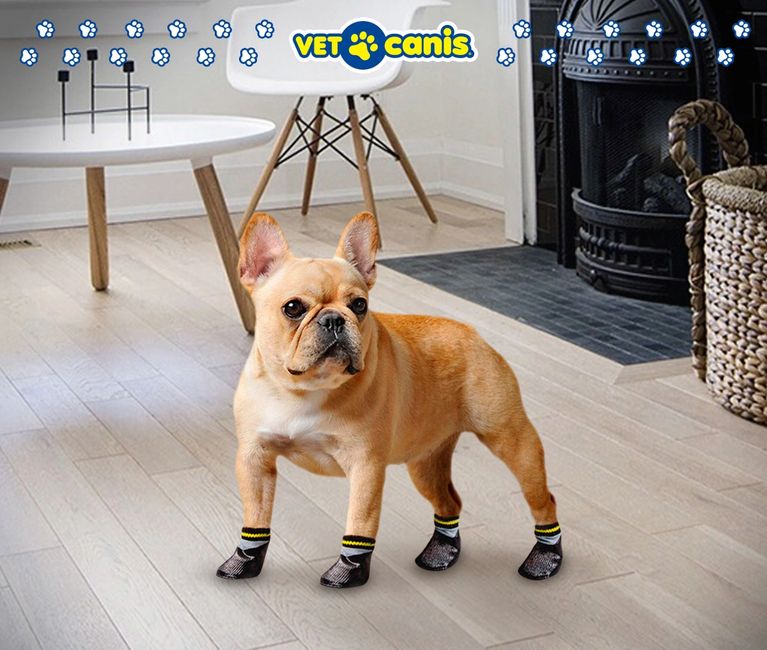 Antideslizantes para mascotas, cuidado de lesiones en perros dentro de casa