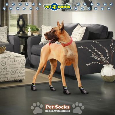 Vetcanis medias antideslizantes protectores para patas de mascotas