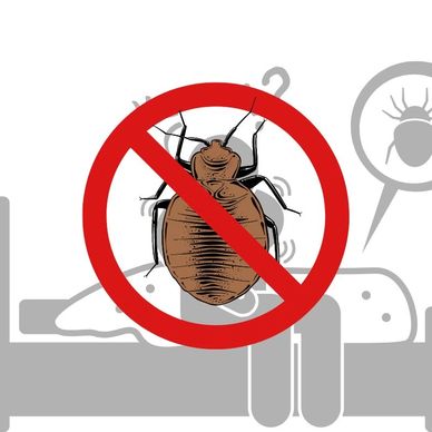 Bed Bug Control Services