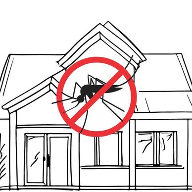 Mosquito Control Services