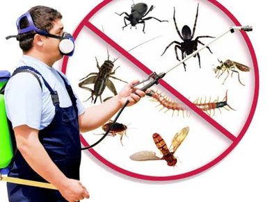 Commercial Pest Control