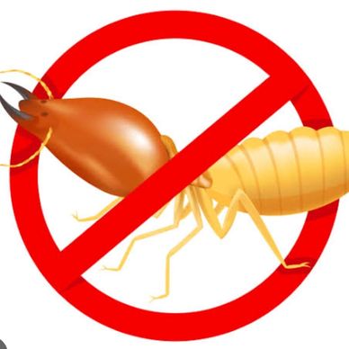 Termite Control services