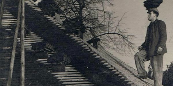 Roof tiles on a roof