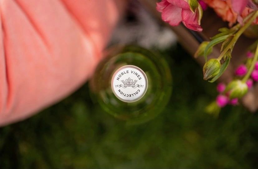 Noble Vines Pinot Grigio 152 review Noble Vines Pinot Grigio 152 review
