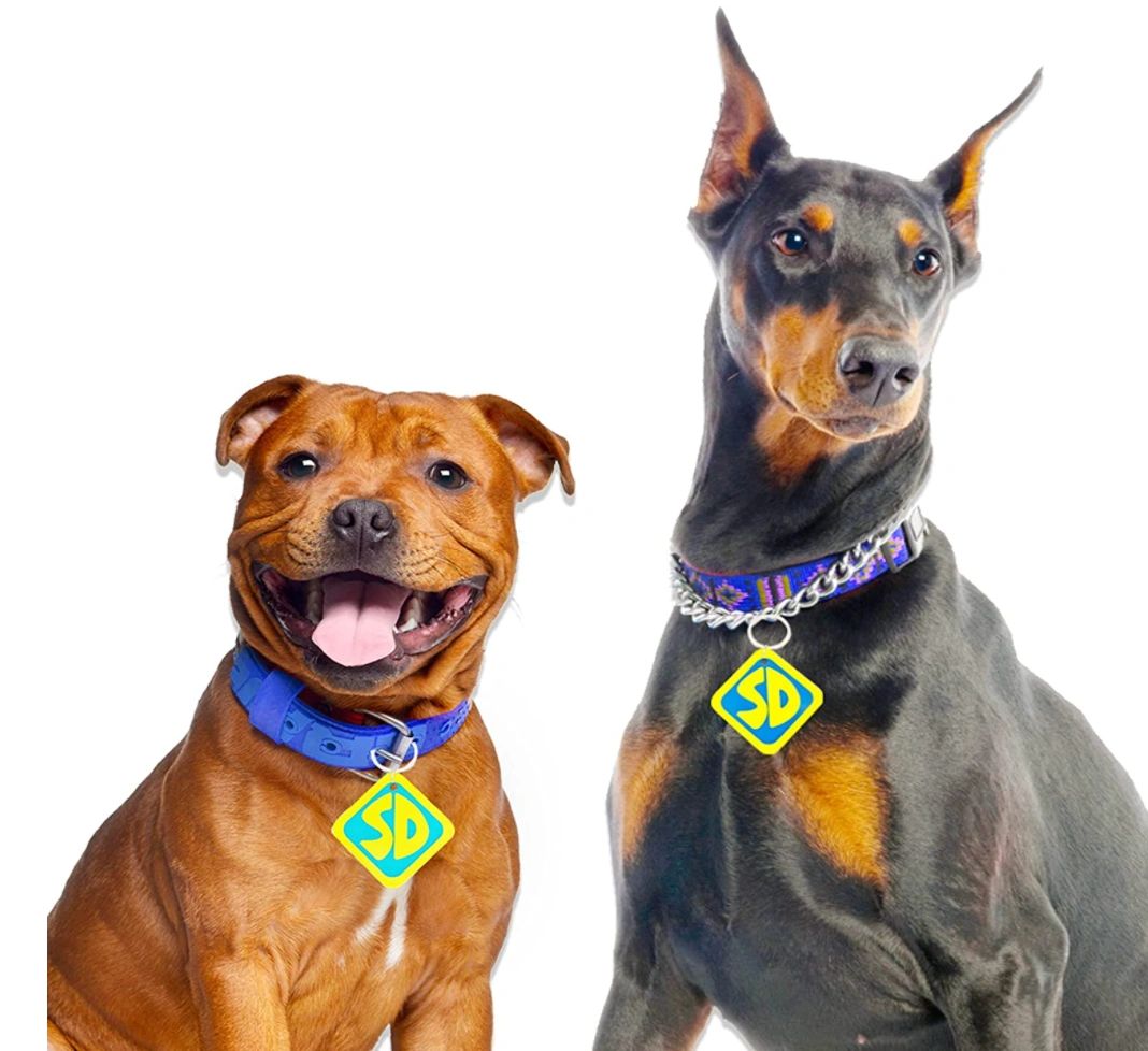 Best Halloween Costume Ideas For Pets 2021