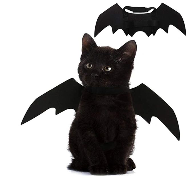 Best Halloween Costume Ideas For Pets 2021