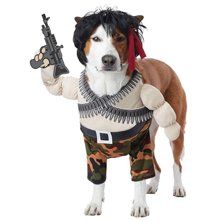 Best Halloween Costume Ideas For Pets 2021