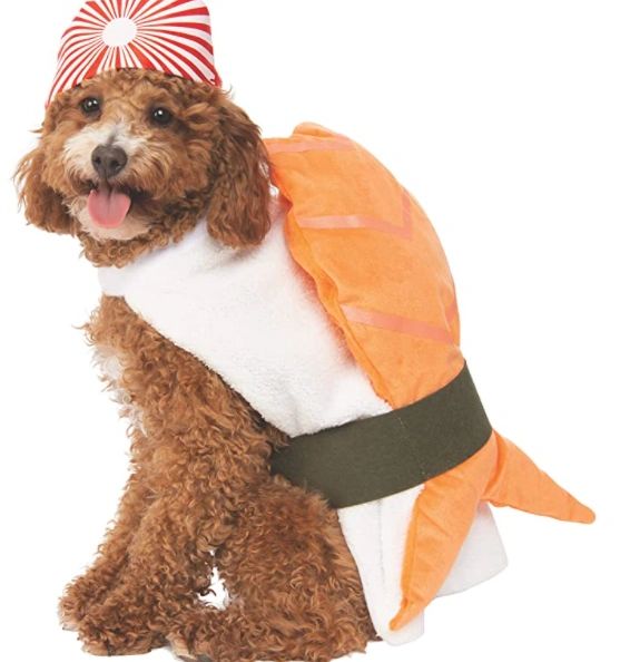 Best Halloween Costume Ideas For Pets 2021