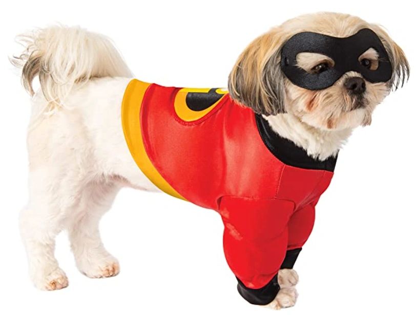 Best Halloween Costume Ideas For Pets 2021
