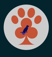 The Canine Club Dog walker