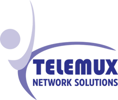 TELEMUX NETWORK SOLUTIONS PRIVATE LIMITED