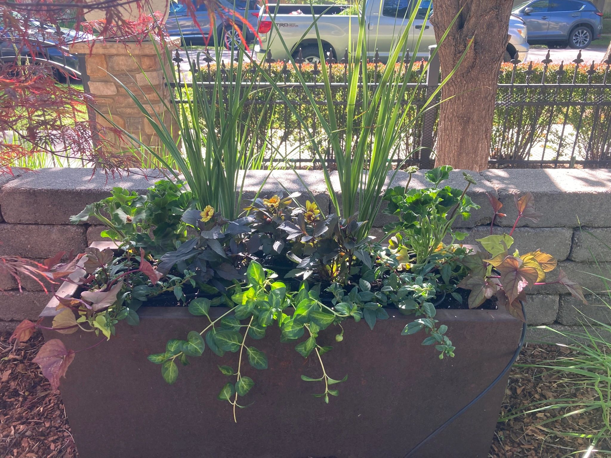A large planter with various green plants and flowers.