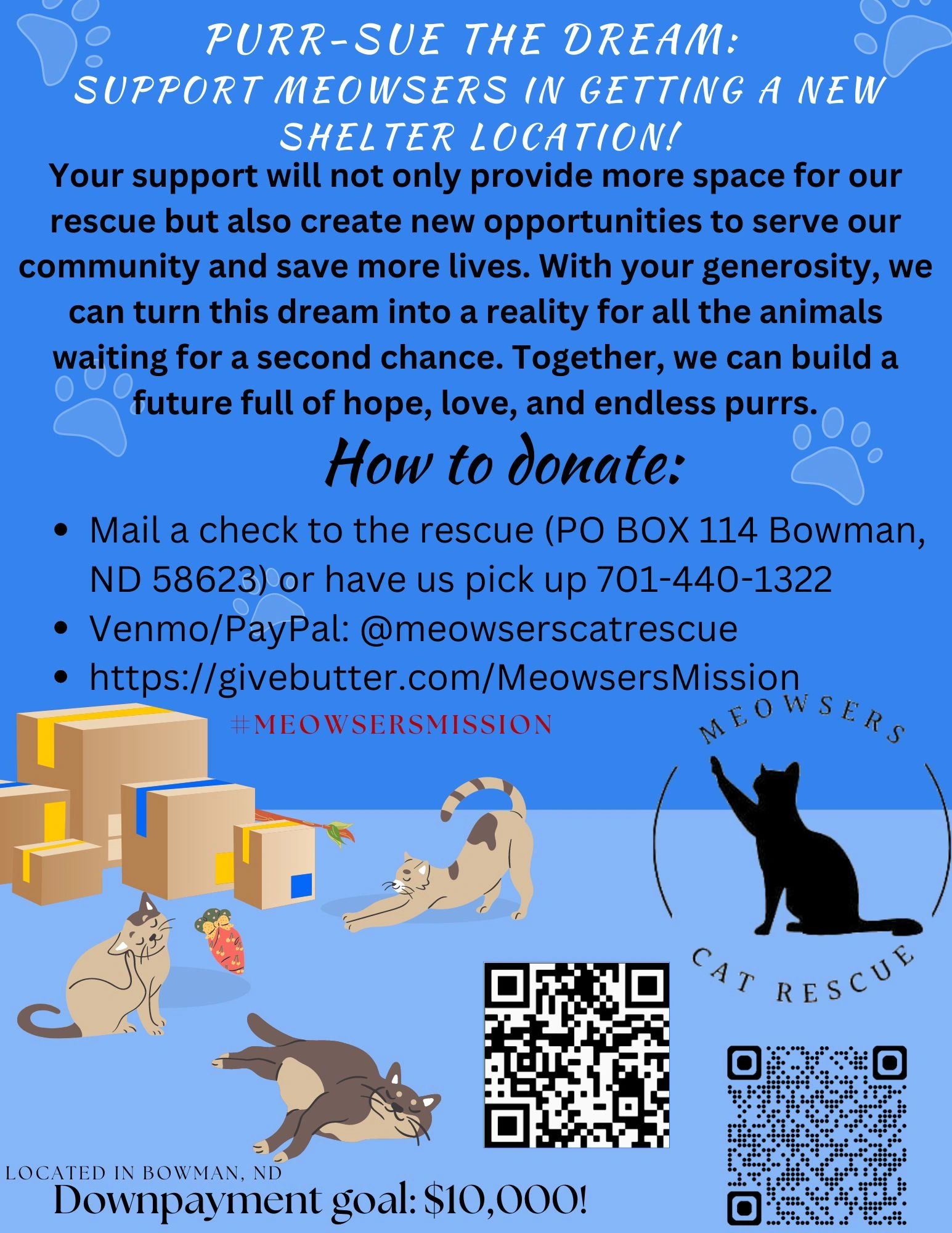 Find the Best Cat Rescue Shelters Near You - Cat Welfare And Rescue