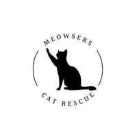 Meowsers Cat Rescue