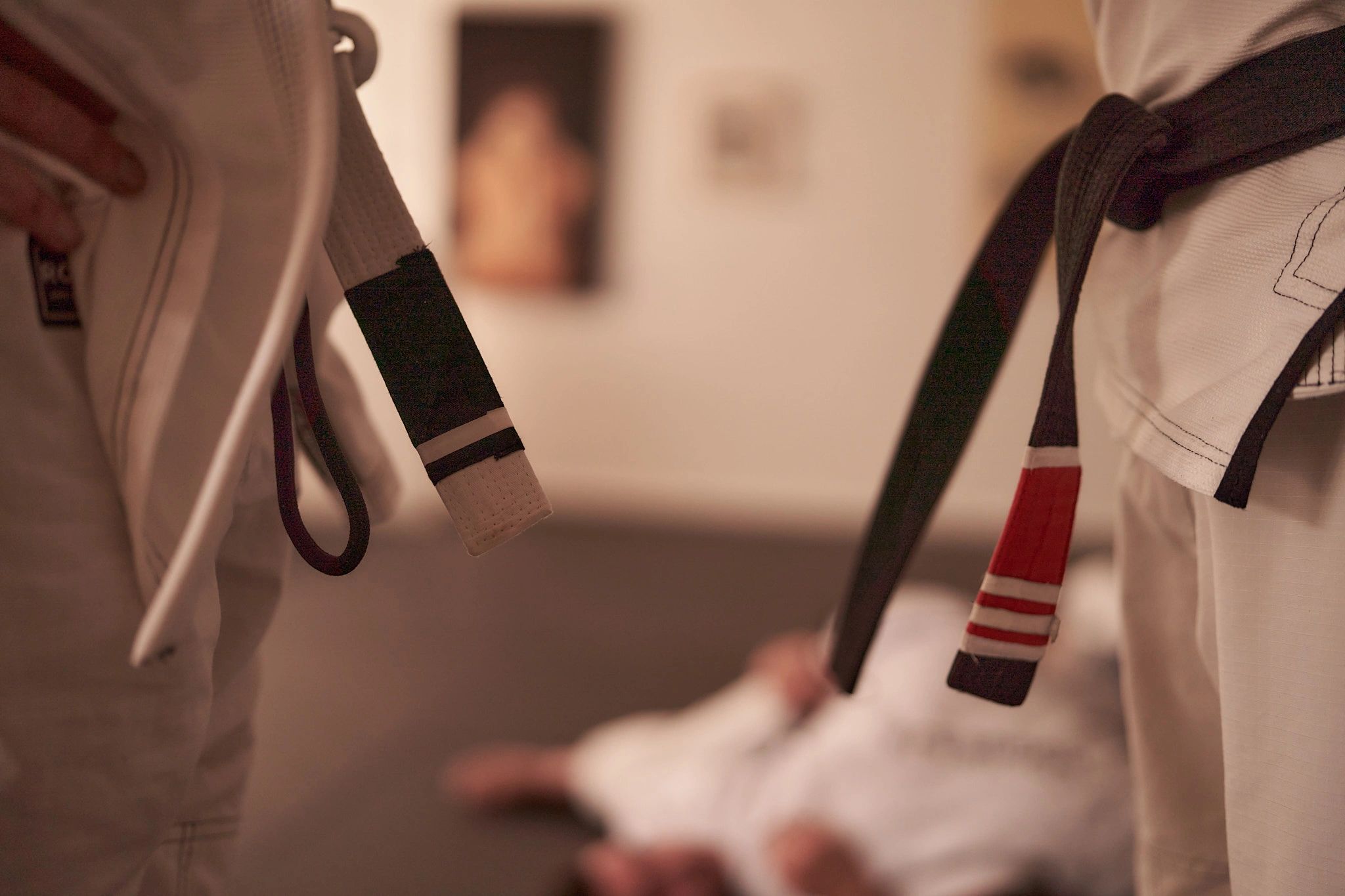 Rogue Brazilian Jiu Jitsu Lyneham is martial arts for growth, challenge, fitness and mental health