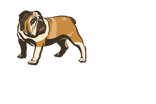 Rogue bjj