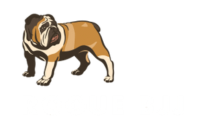 Rogue bjj