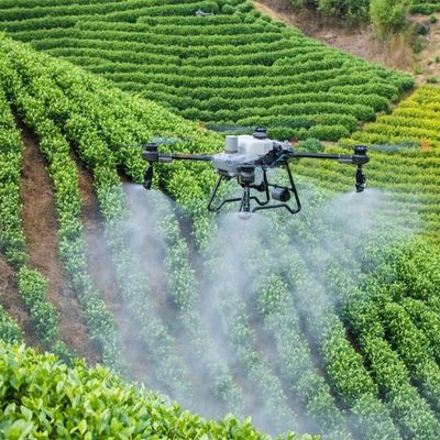 DJI Agras T50 Drone agricultural spraying fungicide on crop