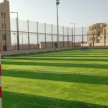 A sunlit soccer field with striped green grass and surrounding buildings.