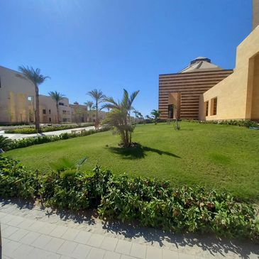 Sunny day with modern buildings and palm trees on a green lawn.
