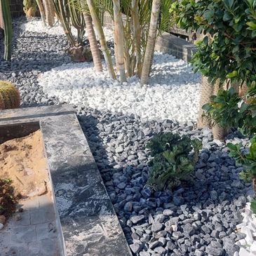 Decorative garden with white and gray stones around plants and cacti.