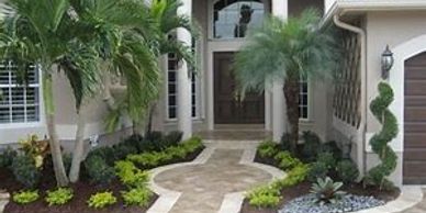 Front yard with palm trees and a decorative entrance path.