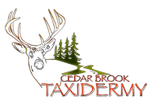 Cedar Brook Taxidermy