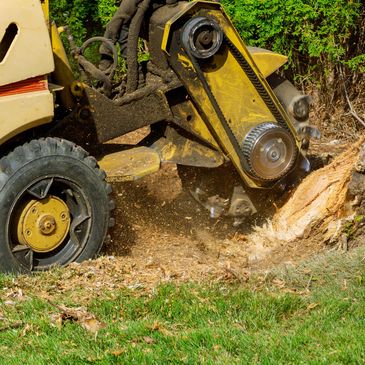 STUMP GRINDING
