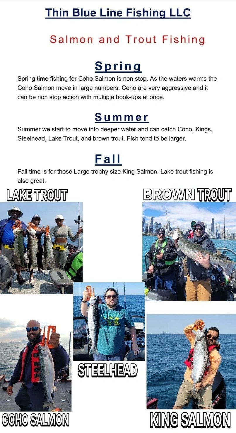 What you might catch  Thin Blue Line Fishing LLC- Chicago Fishing  Charters-Lake Michigan Fishing Charter-Chicago Fishing Guides
