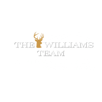 The Williams 
      Team