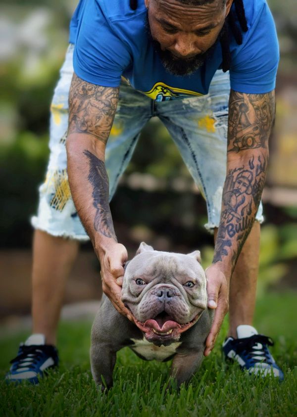 Micro Exotic Bully