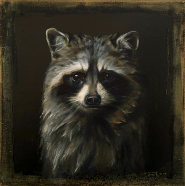 Racoon 