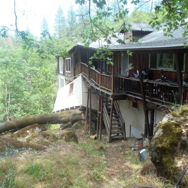 Large tree crashed into the side of a wooden house in a forested area.