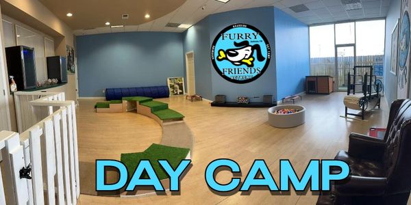 Dog Boarding Day Care 