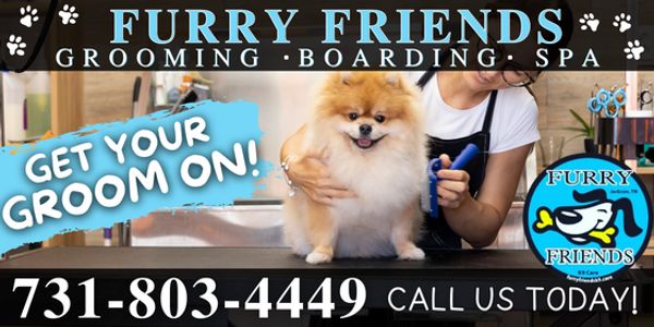 If you searched for dog grooming near me, pet grooming near me or- groomer near me. welcome