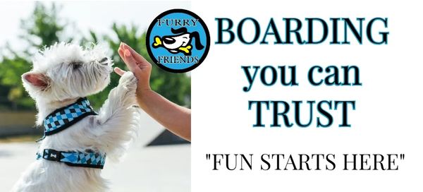dog-boarding-jackson tn-trust