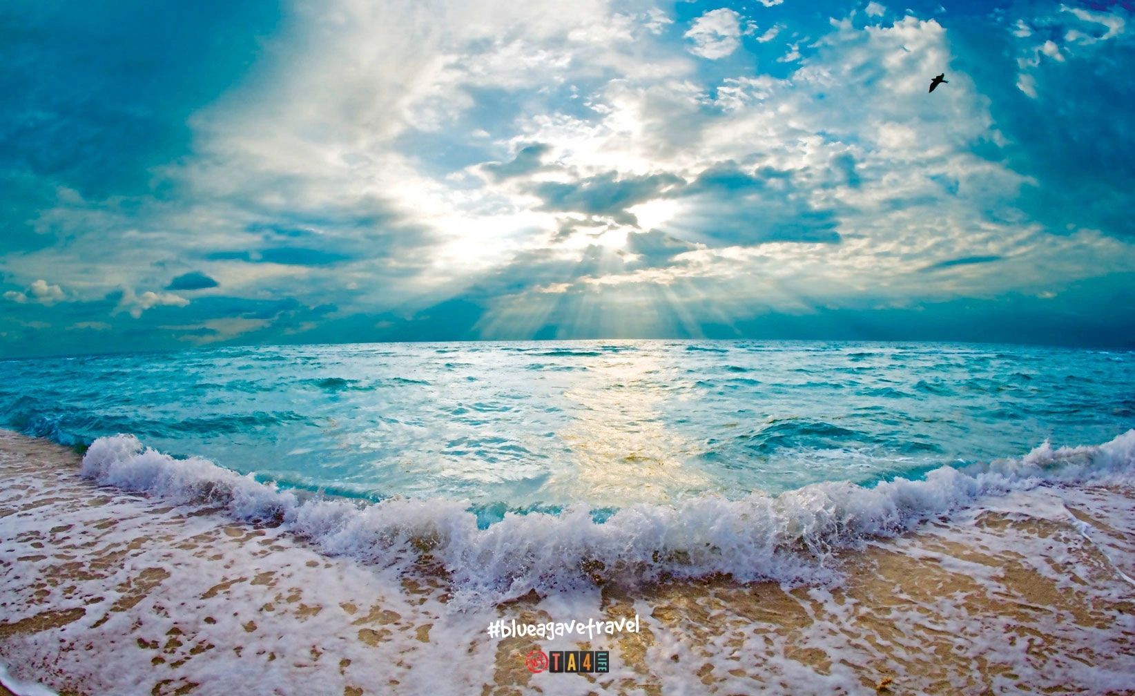 Blue Agave Travel Your Trusted Travel Agency