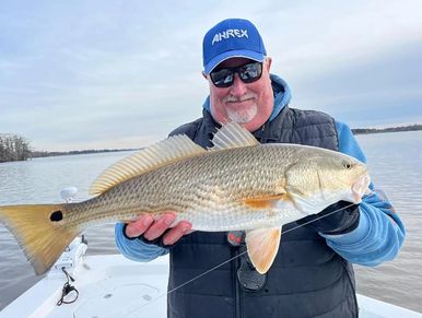 redfish New Bern Neuse River fly fishing topwater fishing 