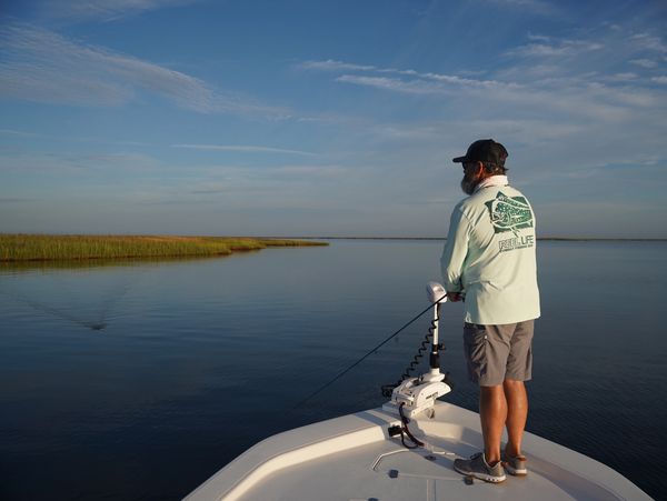 sight fishing, redfishing, fly fishing, redfish, tarpon Core Sound Pamlico Sound